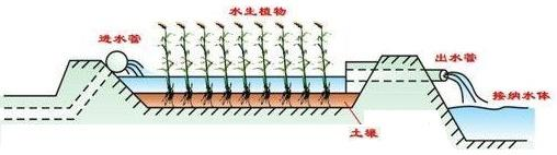 人工濕地技術