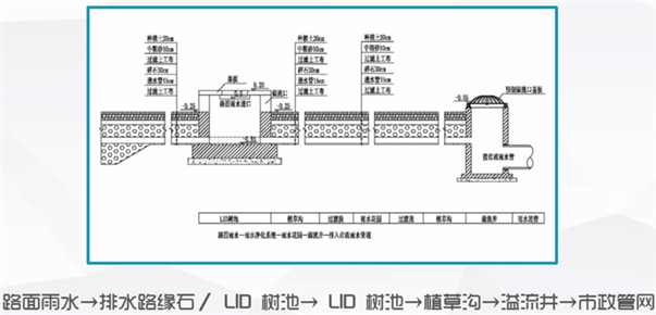  海綿城市建設概論-道路與廣場